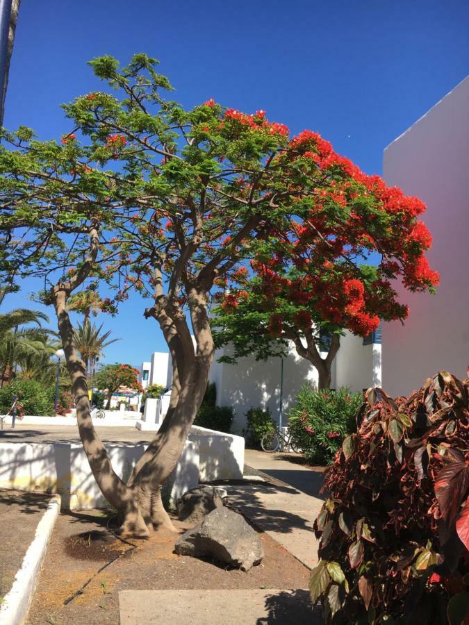 Los Barqueros Corralejo "Beach Front - Town Centre" Luaran gambar